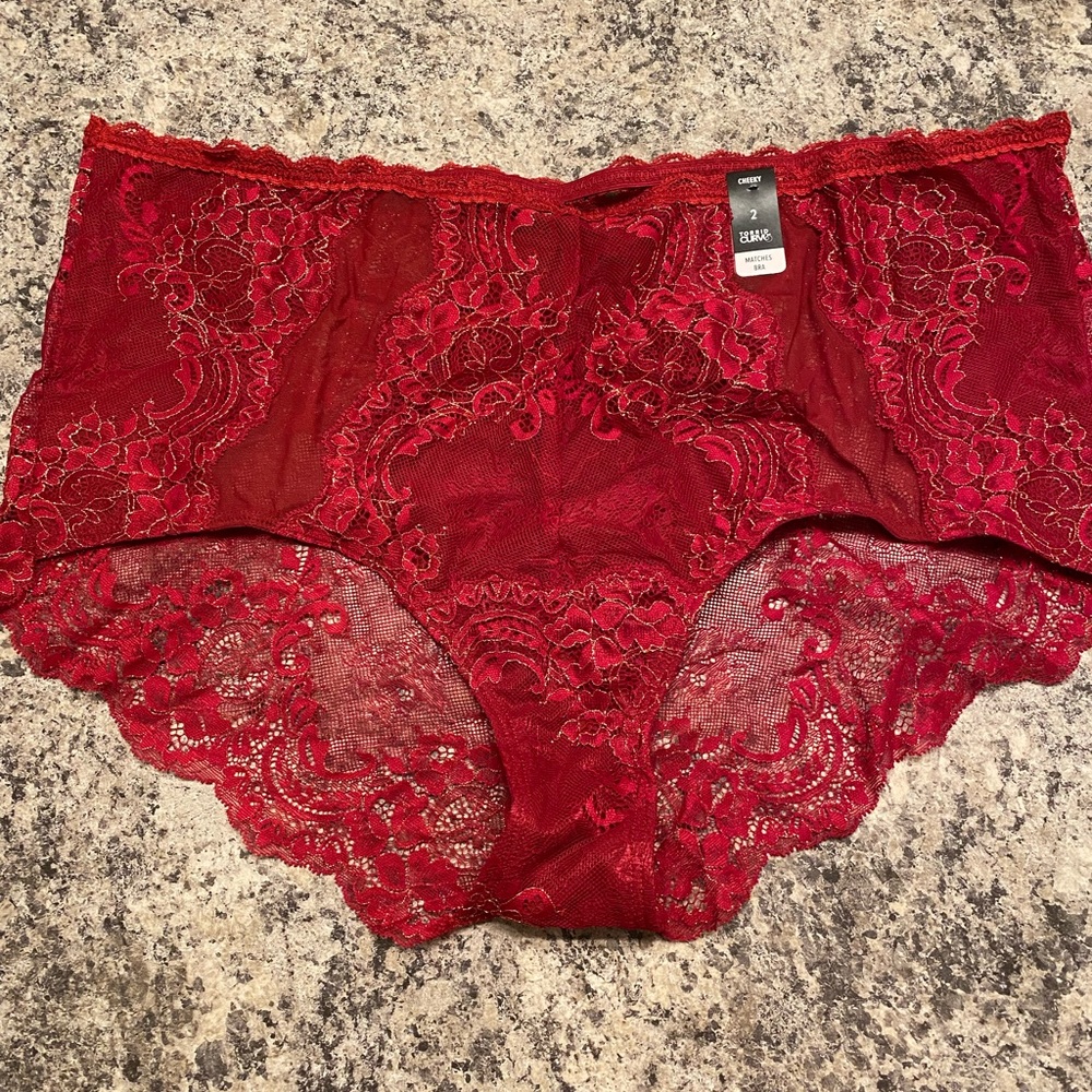 Torrid panties